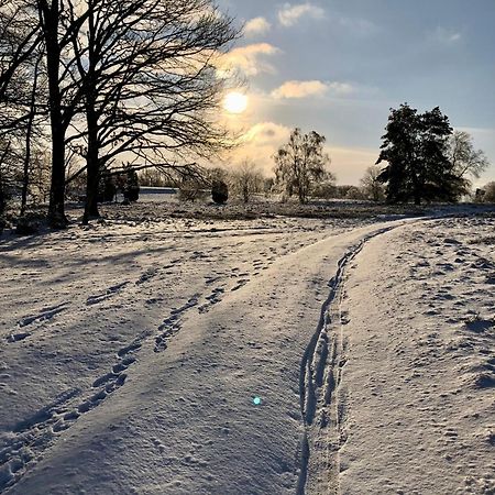 Ferienwohnung Heide View Bispingen Eksteriør bilde