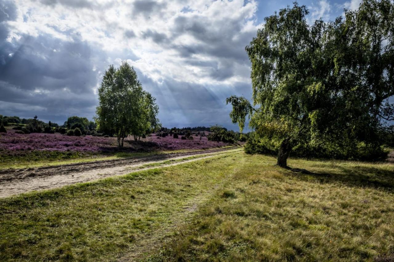 Ferienwohnung Heide View Bispingen Eksteriør bilde