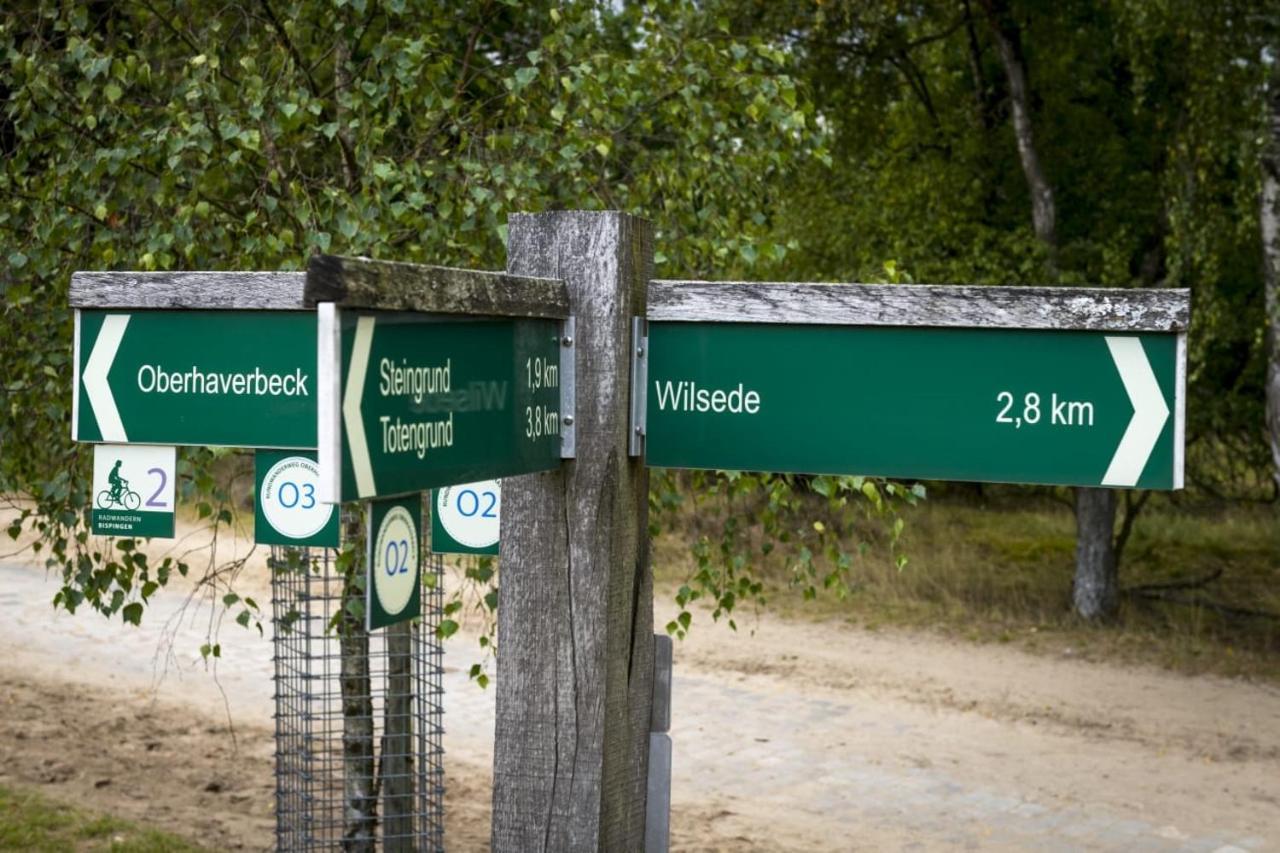 Ferienwohnung Heide View Bispingen Eksteriør bilde