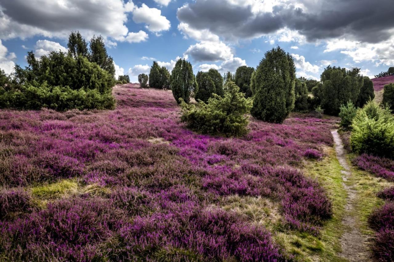 Ferienwohnung Heide View Bispingen Eksteriør bilde