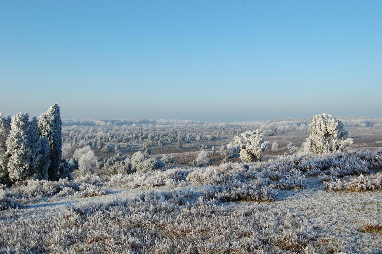 Ferienwohnung Heide View Bispingen Eksteriør bilde