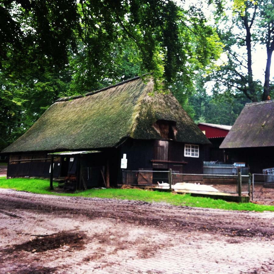 Ferienwohnung Heide View Bispingen Eksteriør bilde