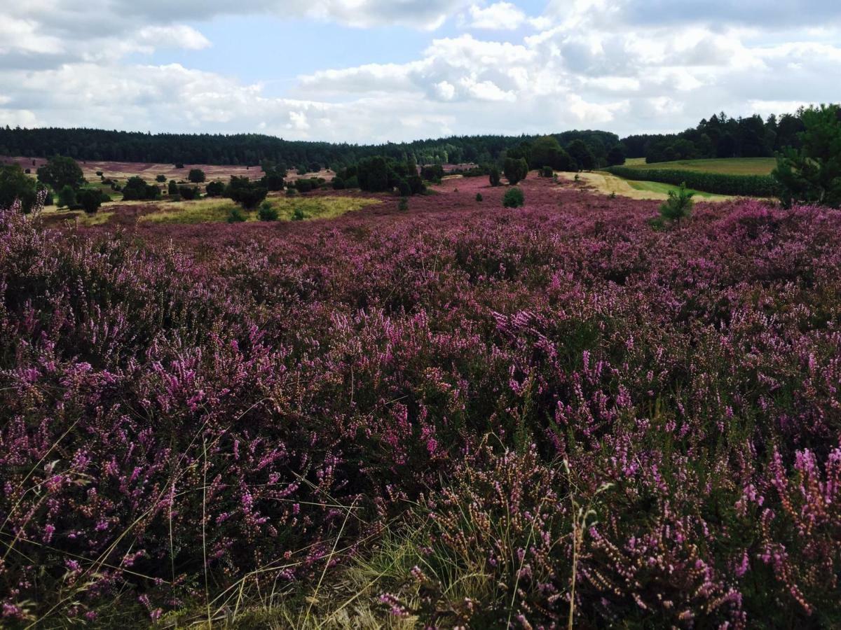 Ferienwohnung Heide View Bispingen Eksteriør bilde